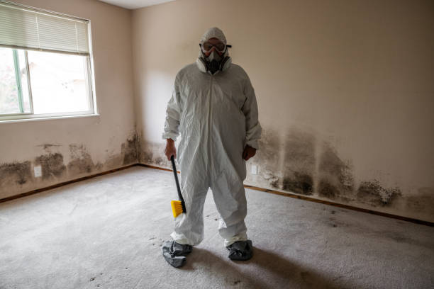 Best Industrial Mold Remediation in Alamo, TX